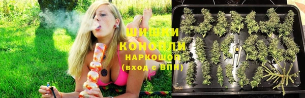 ГАЛЛЮЦИНОГЕННЫЕ ГРИБЫ Абдулино