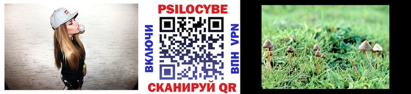 mega ССЫЛКА  купить наркотик  Власиха  Псилоцибиновые грибы мицелий 